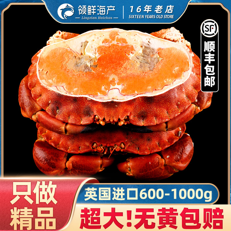 面包蟹黄金蟹鲜活熟冻帝王蟹特大冷冻生梭子蟹飞蟹母螃蟹英国进口