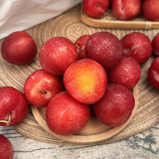 智利樱桃李2斤起新鲜迷你进口红李新鲜水果李子