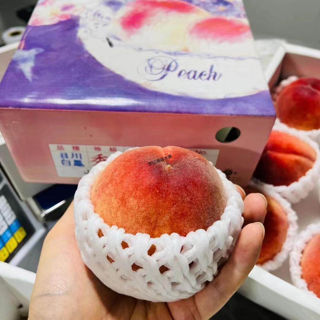 水蜜桃1280g中国熊本温室密白