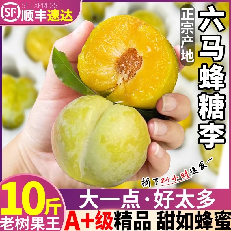 正宗六马蜂糖李子新鲜贵州镇宁特产脱骨李子水果
