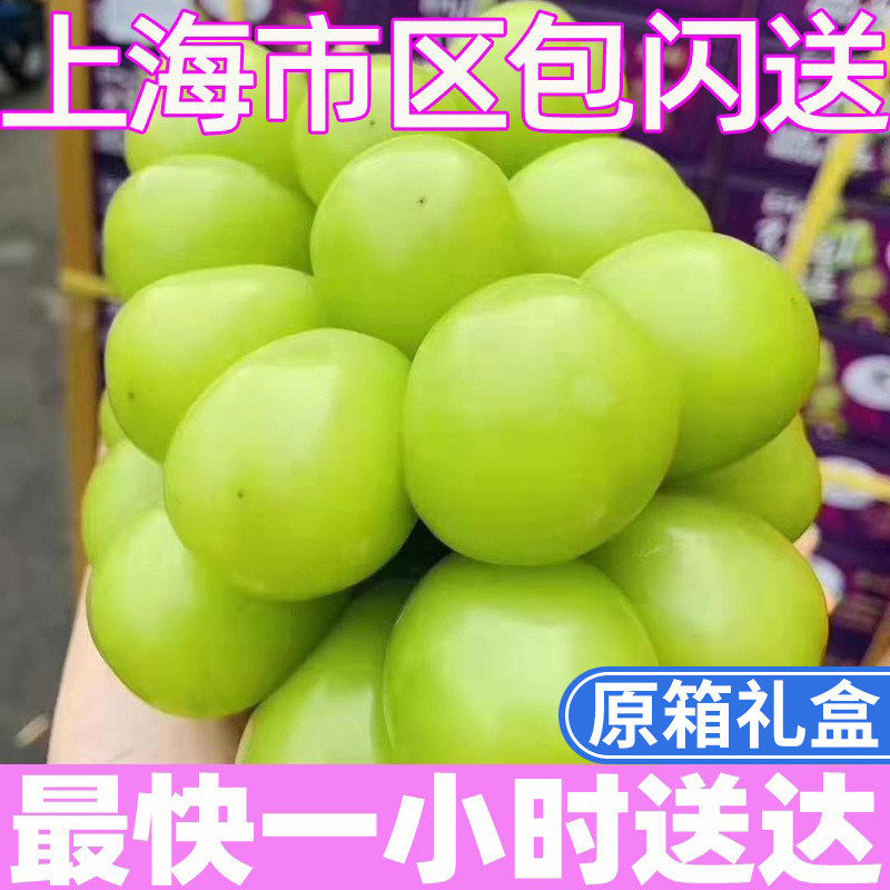 日本引进品种晴王葡萄大果又香又甜5斤 上海市区包闪送 阳光玫瑰