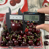 乐鲜果园智利4J巨无霸桑提娜车厘子新鲜水果进口大樱桃孕妇水果