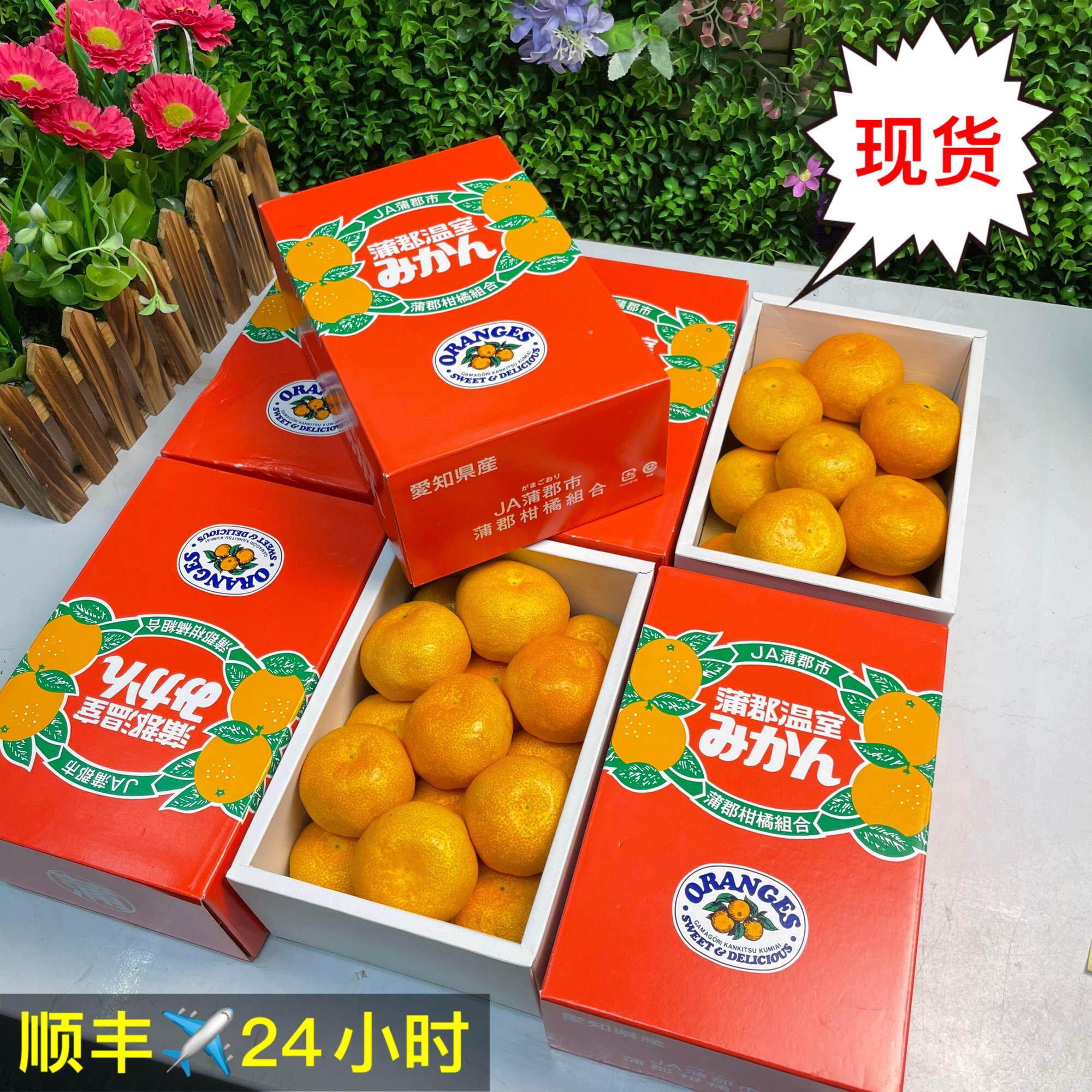 浦郡蜜橘 2.2斤礼盒鲜嫩多汁无渣日本蜜柑日本品种国产深圳同城