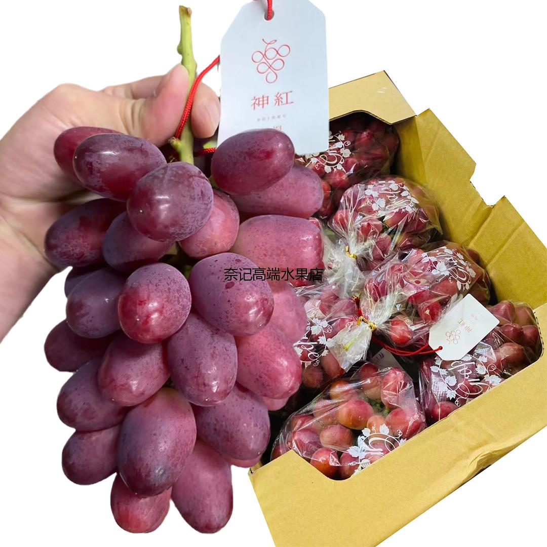 岛根级红提·岛根级红提·