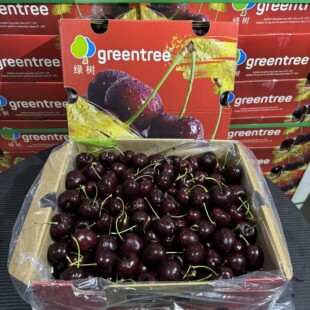 智利海运车厘子3J特大果桑提娜大樱桃黑珍珠进口时令水果