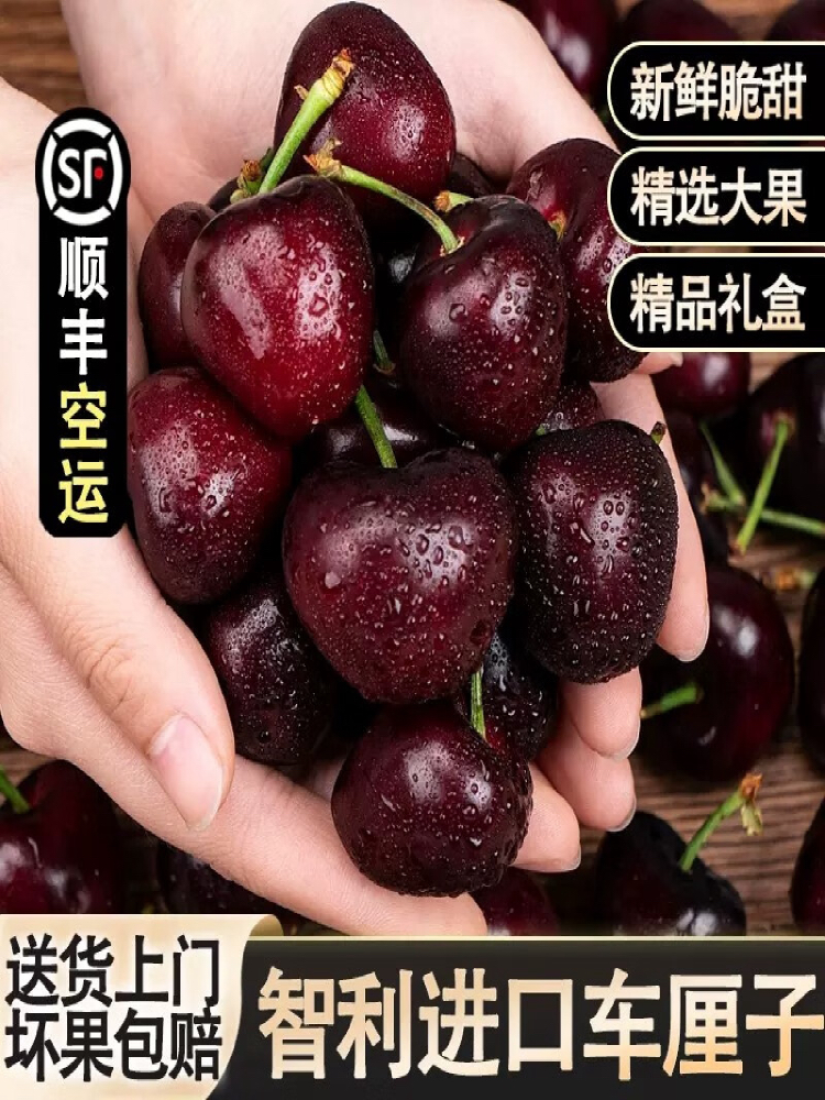 京津冀现货黑车厘子桑缇娜3j4j新鲜水果大樱桃智利高档礼盒装送礼