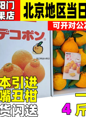 日本引进大分奶嘴丑柑现货大果礼盒丑橘柑橘新鲜水果顺丰空运包邮