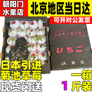 日本引进蜜糖菊池草莓纯甜多汁应季宝宝女朋友礼盒水果奶油草莓