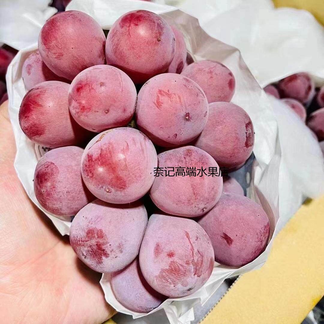 日本品种妮娜日本品种妮娜