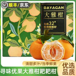 寻味优果大雅柑春见耙耙柑7.5斤礼盒装 新鲜水果粑粑柑橘蜜橘桔子