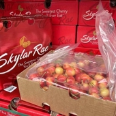 现货智利斯卡拉雷黄车厘子进口黄樱桃新鲜脆甜当季 时令新鲜水果