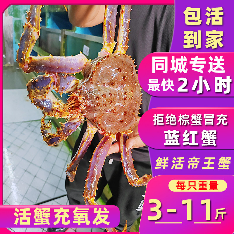 活蟹包活【阿拉斯加长脚蟹帝王蟹】鲜活水产海鲜大螃蟹皇帝蟹10斤