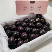 正宗大连俄罗斯八号5J大樱桃正宗俄8大连樱桃特大果纯甜礼盒2斤装