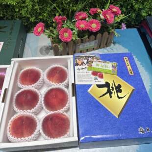 山梨水蜜桃春日居风雅香桃日川白凤日本水蜜桃品种多汁香甜礼盒装