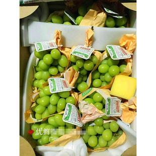 日本引进长野县香印翠玉青提新鲜一箱10斤装8-10串原箱包顺丰空运