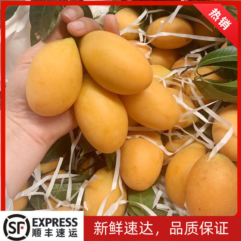 泰国枇杷芒新鲜迷你小芒果4斤装香甜芒孕妇小孩新鲜水果顺丰