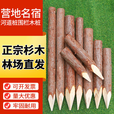 木桩打桩立柱户外河道工程测量定点围栏园林绿化树木支撑杆杉木桩