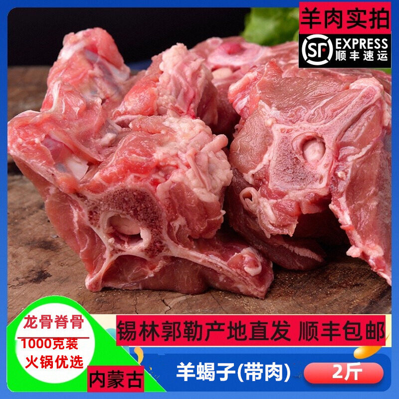 羊蝎子吉日木图内蒙古草原羊