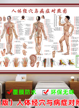 人体经络穴位图标准大挂图全身高清中医养生艾灸推拿按摩背部针灸