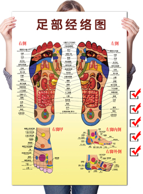 足部反射区挂图足脚底按摩保健足疗足浴拔罐艾灸经络穴位图解海报