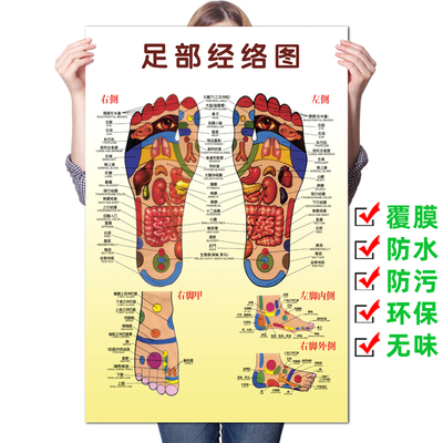 足部反射区挂图足脚底按摩保健足疗足浴拔罐艾灸经络穴位图解海报