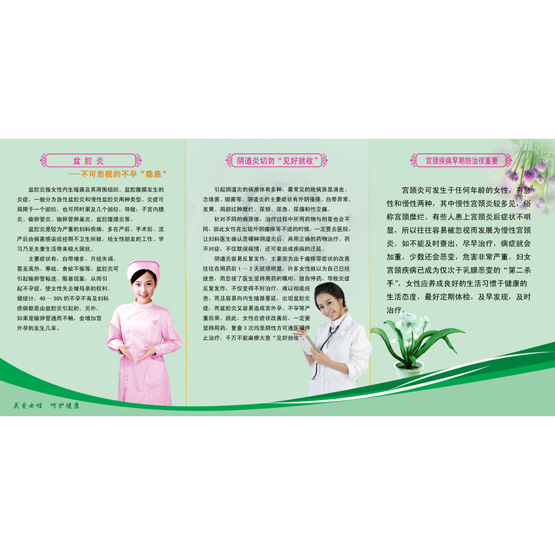 医院妇科健康知识挂图 盆腔炎阴道炎医疗海报 宫颈病症防护宣传画