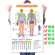 推拿按摩原始点壁画原始点涵盖范围示意图理疗保健养生海报挂图