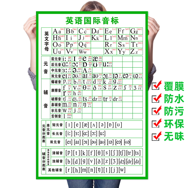 英语国际音标英语音标发音表墙贴