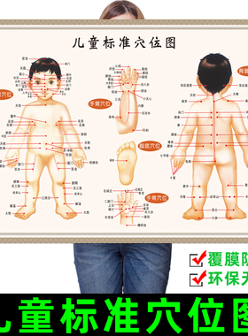 小儿推拿按摩女宝宝男儿童标准人体经络穴位图图解中医养生馆挂图
