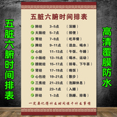 五脏六腑时间表挂图艾灸中医养生馆美容院理疗装 饰画宣传画挂画