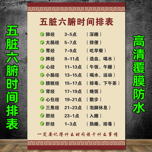 五脏六腑时间表挂图艾灸中医养生馆美容院理疗装饰画宣传画挂画