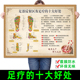 足部反射区足底按摩经络穴位图挂图健康疗法做足疗 十大好处广告