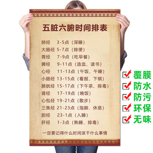 五脏六腑十二人体穴位图经络挂图