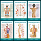脊柱相关疾病 脊背触诊诊断示意图海报医学医院人体器官解剖挂图