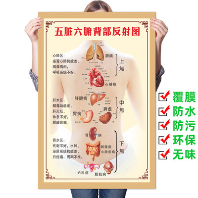 背诊图五脏六腑挂图装饰画