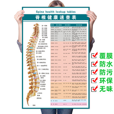 脊椎健康速查表相纸疾病医学海报