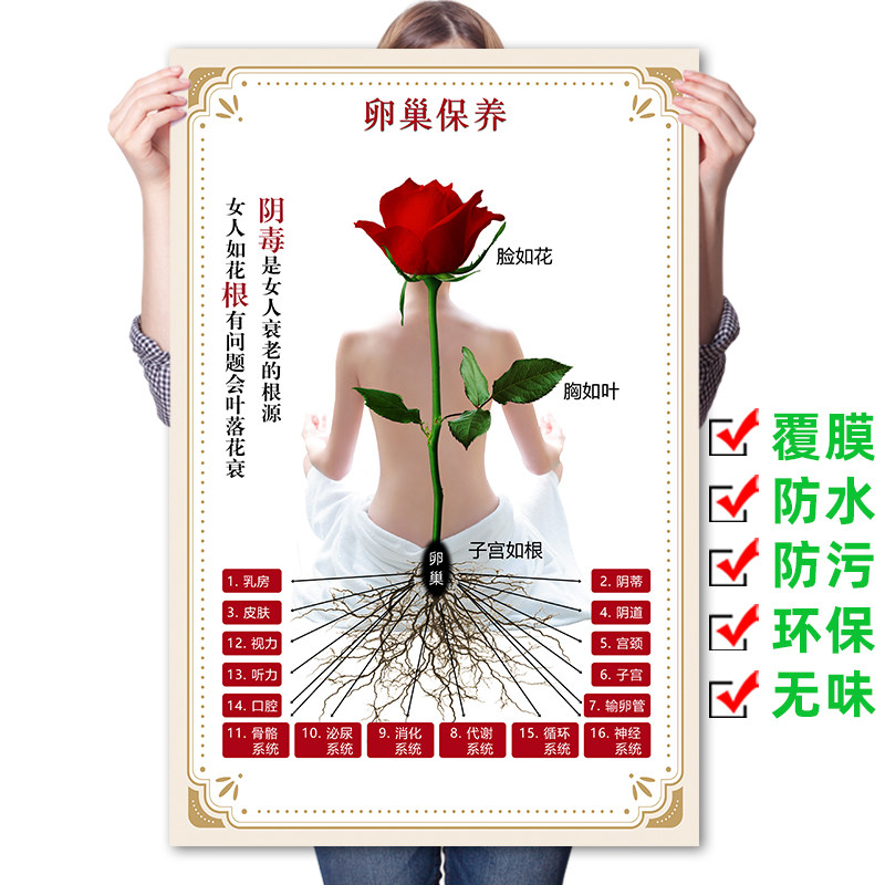 美容中医养生排寒排湿酸排毒禁忌人群海报排毒注意事项宣传画