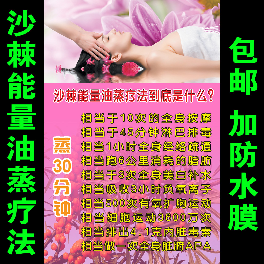 排酸排毒沙棘海报宣传画挂画装饰画活动写真广告沙棘能量油蒸疗法