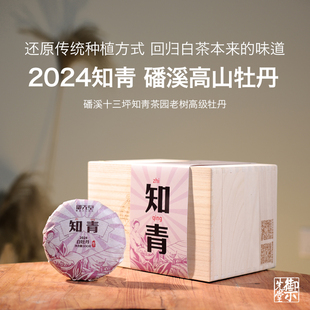御先堂茶研社 2024年知青 磻溪高山十三坪生态茶园一级白牡丹白茶