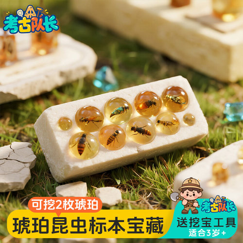 考古挖宝玩具儿童琥珀化石宝藏益智挖掘标本昆虫盲盒男女孩宝石