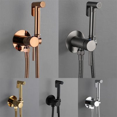 Basics Round Gun Bidet Sprayer Hot Cold Mixer Valve Toilet