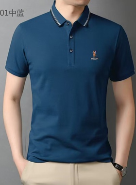 2025珠地网眼棉男翻领夏短袖商务爸爸POLO短袖t恤