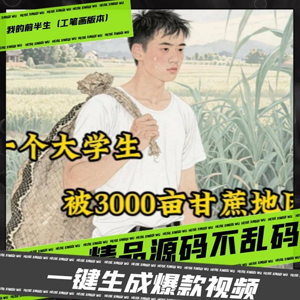 我的前半生工笔画版本coze工作流AI智能体高效办公超级个体 定制,商务/设计服务,短视频制作,淘宝优惠券,粉丝福利购,淘宝优惠卷