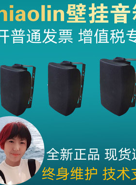 nniaolin MQ-317G/318G/319G/329G定阻定压壁挂音箱背景音乐会议