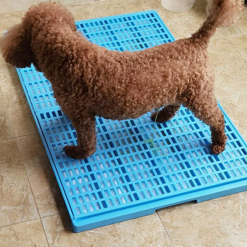 伊贝尔阿拉斯加专用厕所