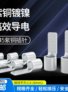 紫铜C45空开接线端子插针铜鼻子线耳断路器片型冷压接线端子插片