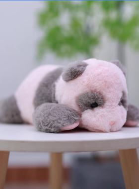 可爱小熊猫幼崽刚出生几天毛绒玩具公仔儿童玩偶娃娃男女生日礼物