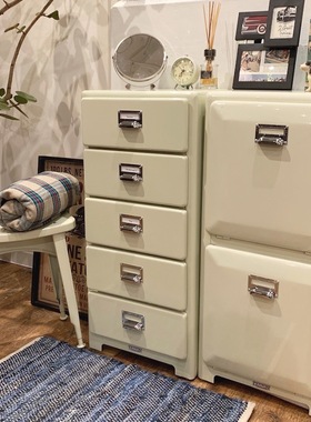 Molly飞机头 dulton双层翻盖式垃圾桶杂物箱 收纳柜杂物架100-133