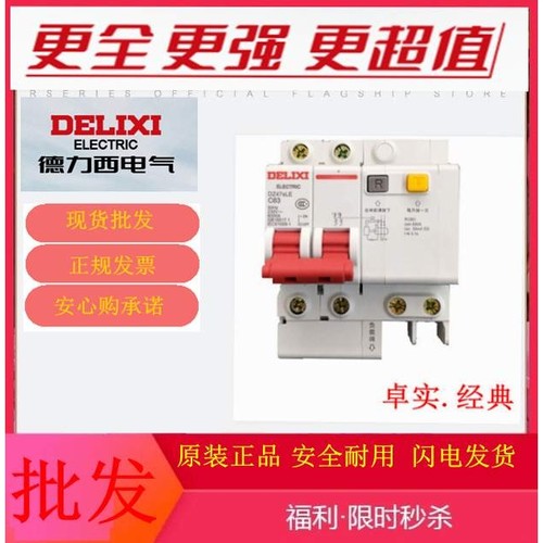 空气开关断路器 DZ47SLE 2P+N C63A 家用总开关 总漏电开关DLX