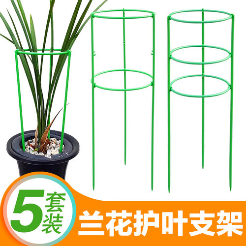 惠兰莲瓣双层兰花护叶支架兰花护叶架兰花护叶专用支架兰花护叶圈 - 封面